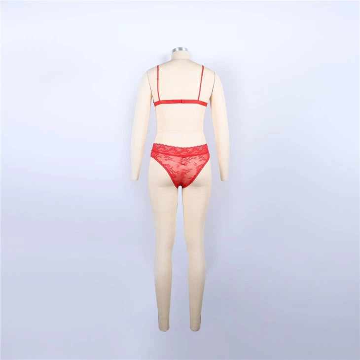 Women Lace Underwear Manufacturer